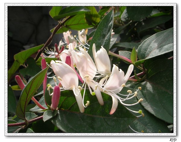 ���������죩