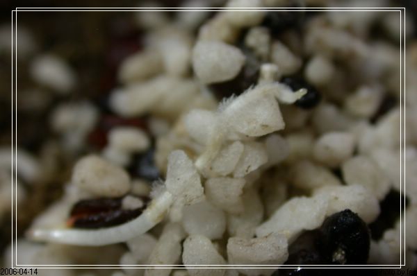 ���������¼�