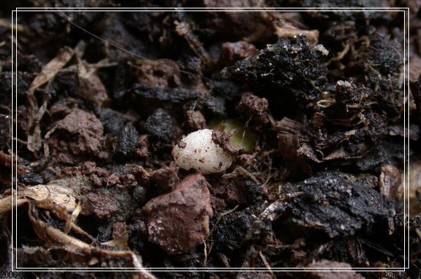 ���������¼�