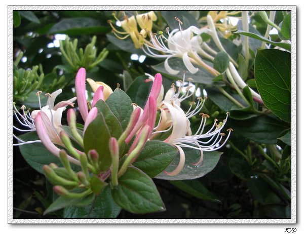 ���������죩