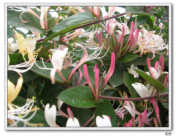 ���������죩