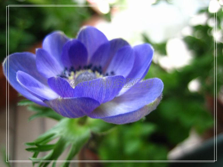 ��78�����̨