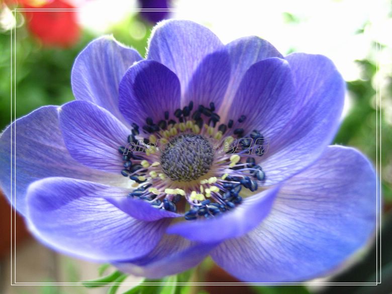 ��78�����̨