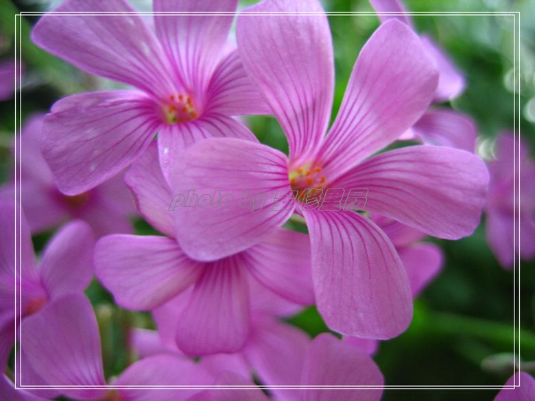 ��78�����̨