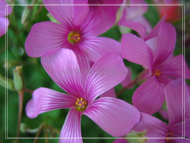 ��78�����̨