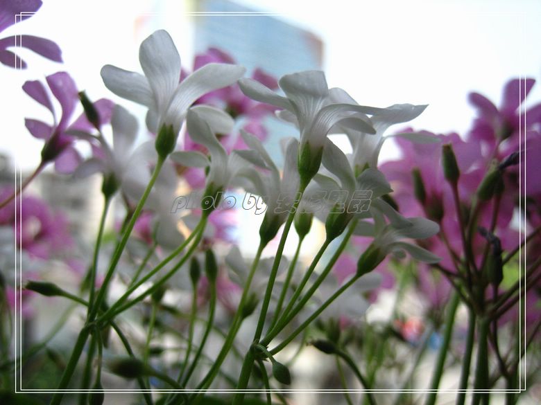 ��78�����̨