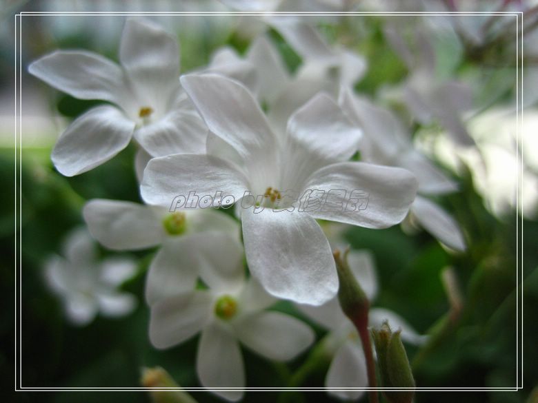 ��78�����̨