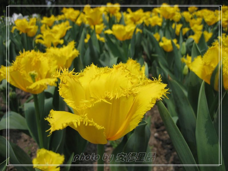 ��ӭ�����˼�����