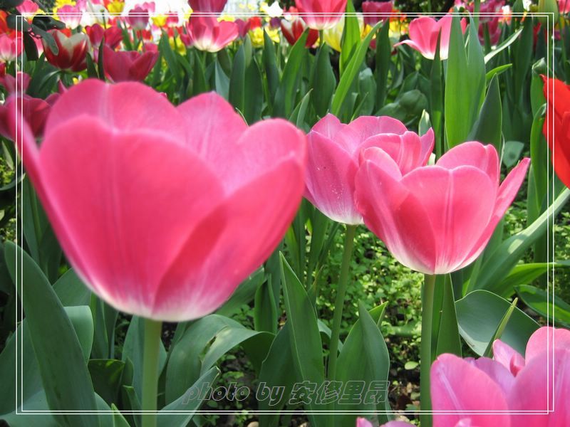 ��ӭ�����˼�����