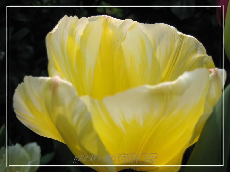 ��ӭ�����˼�����