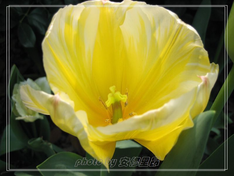 ��ӭ�����˼�����