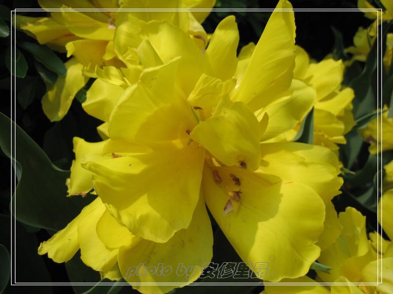 ��ӭ�����˼�����