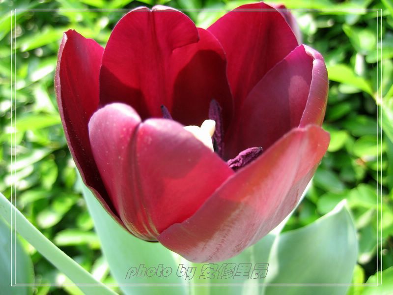 ��ӭ�����˼�����