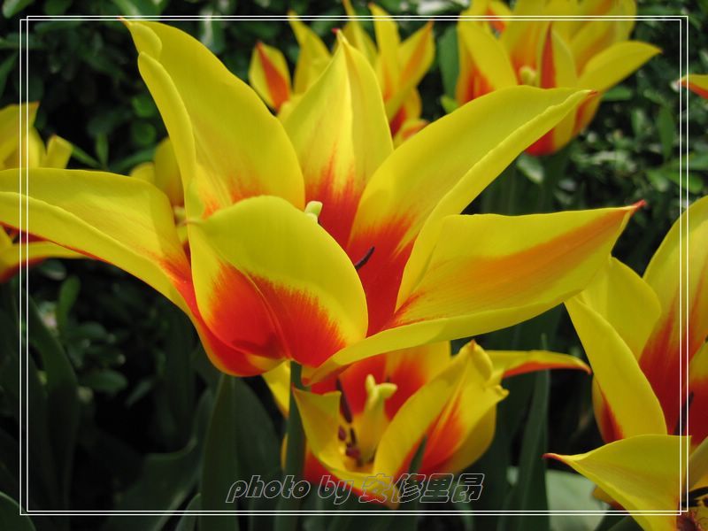 ��ӭ�����˼�����