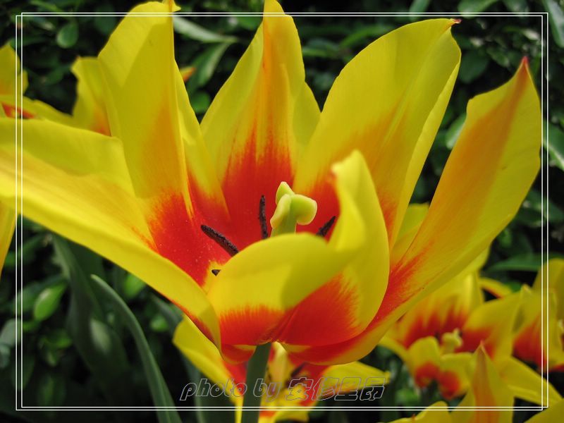 ��ӭ�����˼�����