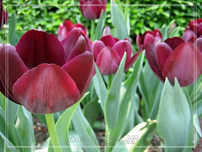 ��ӭ�����˼�����