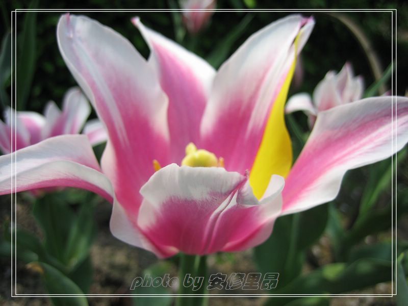 ��ӭ�����˼�����