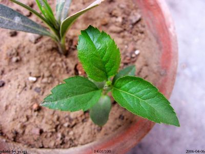 ���������¼�