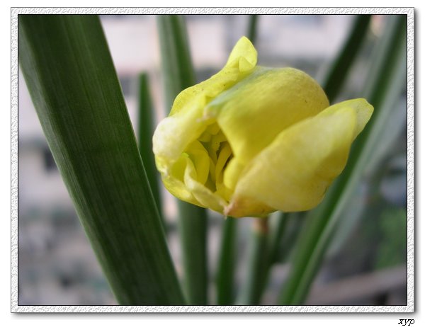 ����һ����ˮ��