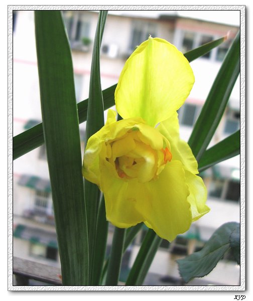 ����һ����ˮ��