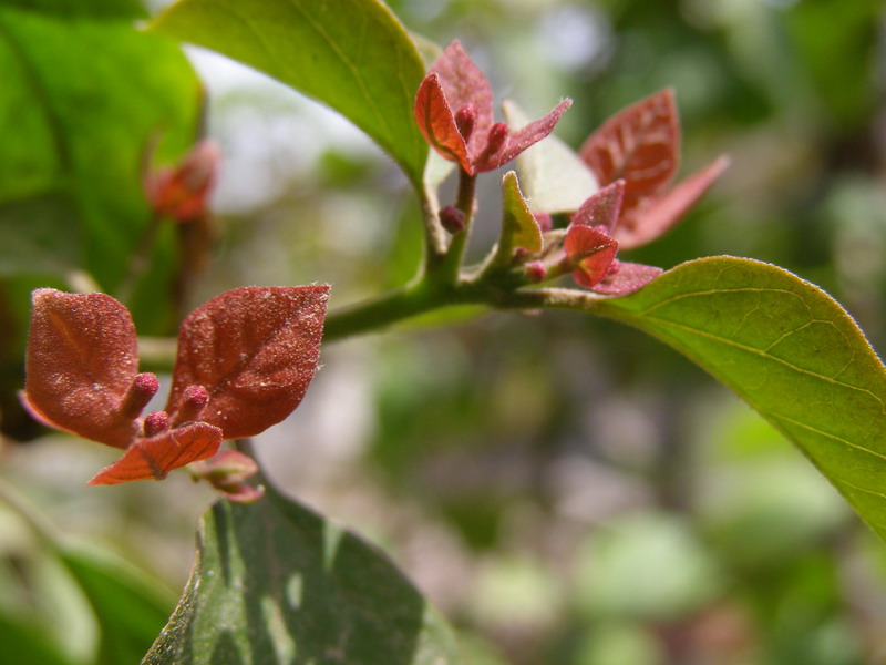 ������̨�ϵ�����÷