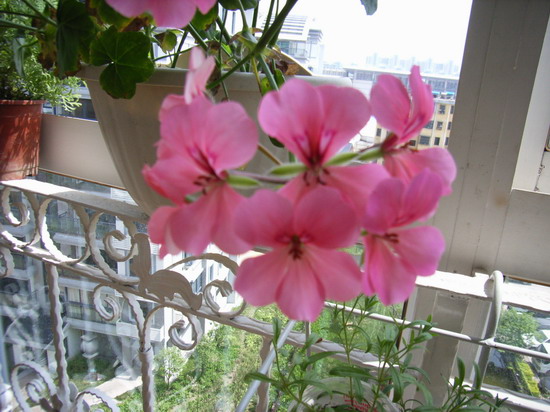 ��è����      *-*����Ļ�԰*-*