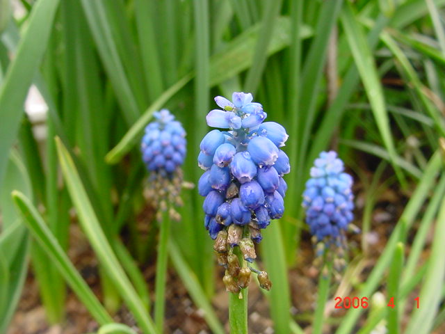 ����СԺ����P12 ���ٺ�����