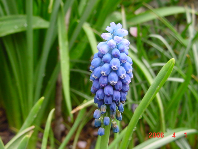 ����СԺ����P12 ���ٺ�����