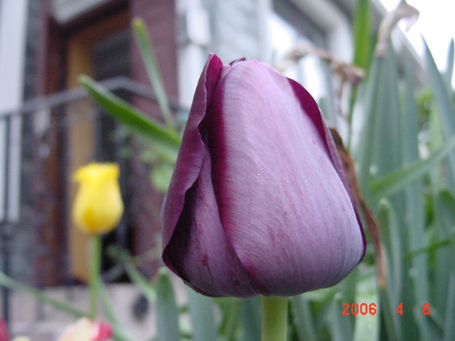 ����СԺ����P12 ���ٺ�����