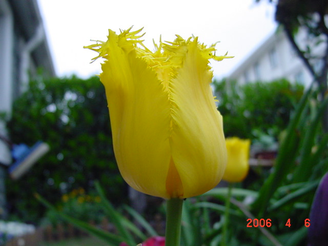 ����СԺ����P12 ���ٺ�����