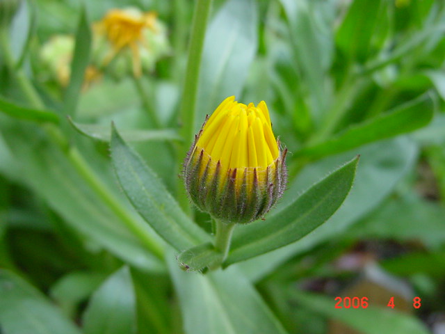 ����СԺ����P12 ���ٺ�����