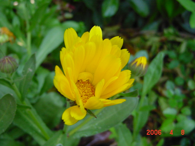 ����СԺ����P12 ���ٺ�����