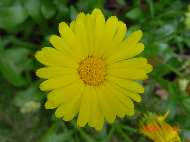 ����СԺ����P12 ���ٺ�����