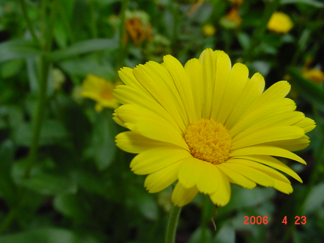 ����СԺ����P12 ���ٺ�����