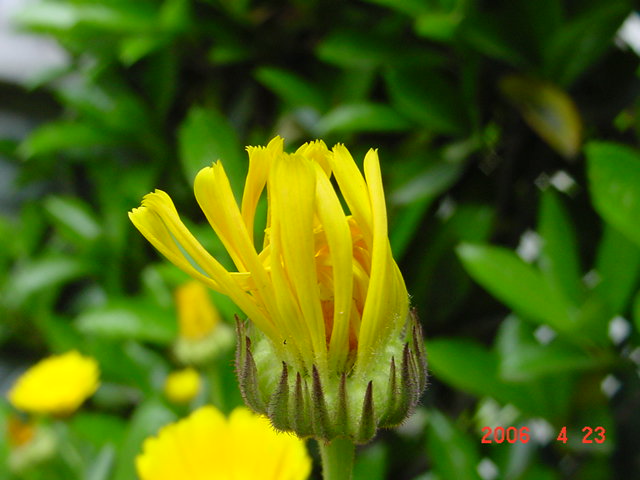 ����СԺ����P12 ���ٺ�����