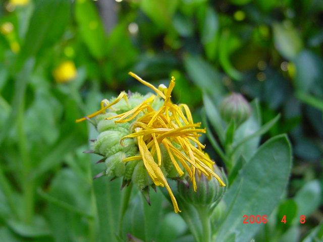 ����СԺ����P12 ���ٺ�����