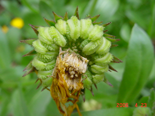 ����СԺ����P12 ���ٺ�����