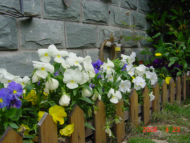 ����СԺ����P12 ���ٺ�����