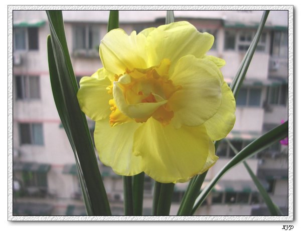 ����һ����ˮ��(�����ˣ�