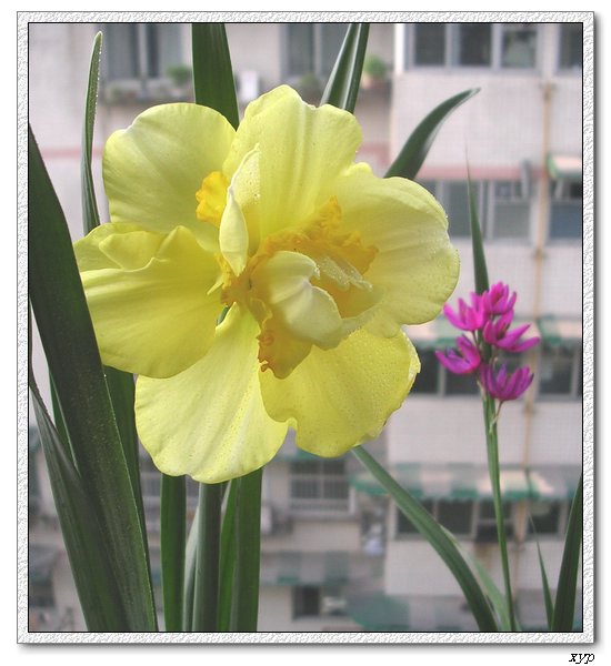 ����һ����ˮ��(�����ˣ�