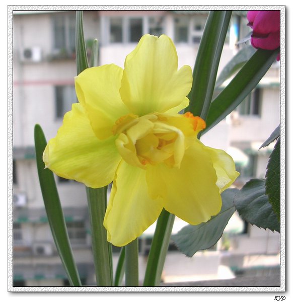 ����һ����ˮ��(�����ˣ�