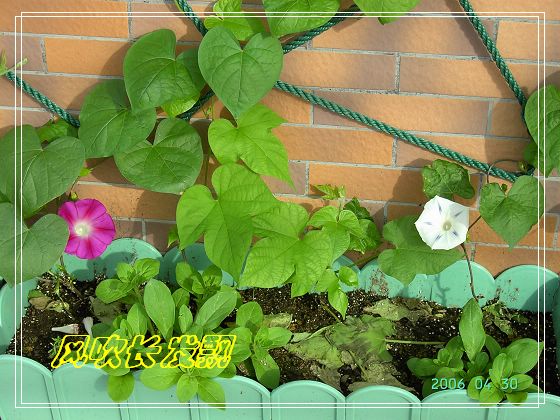 ѫ�¾տ��˺�����