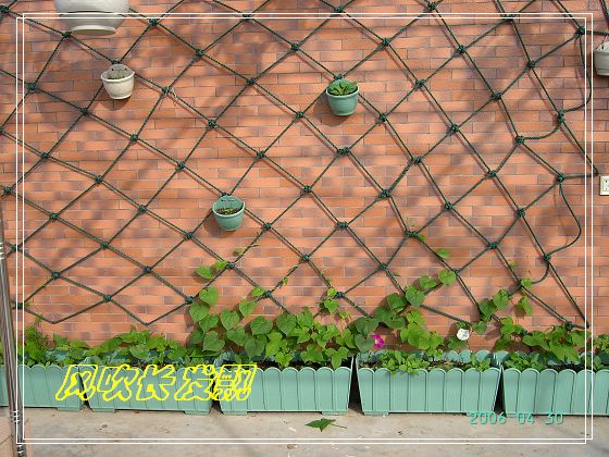 ѫ�¾տ��˺�����