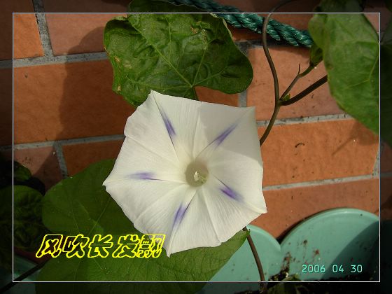 ѫ�¾տ��˺�����