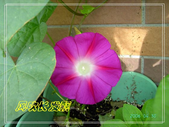 ѫ�¾տ��˺�����