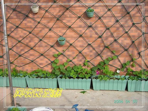 ѫ�¾տ��˺�����