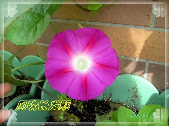 ѫ�¾տ��˺�����