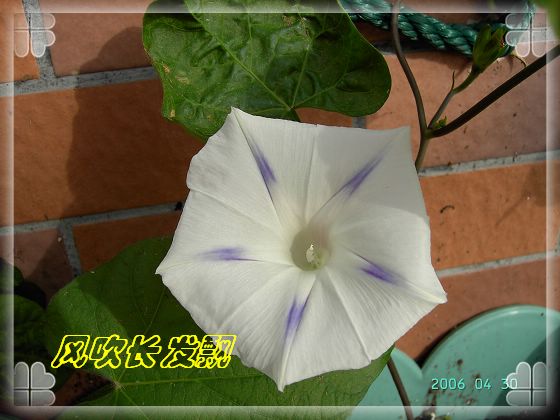 ѫ�¾տ��˺�����