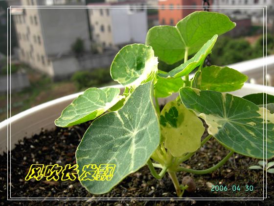 ѫ�¾տ��˺�����