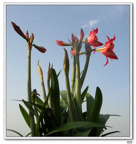 �Ҽҵ���ͨ�춥��